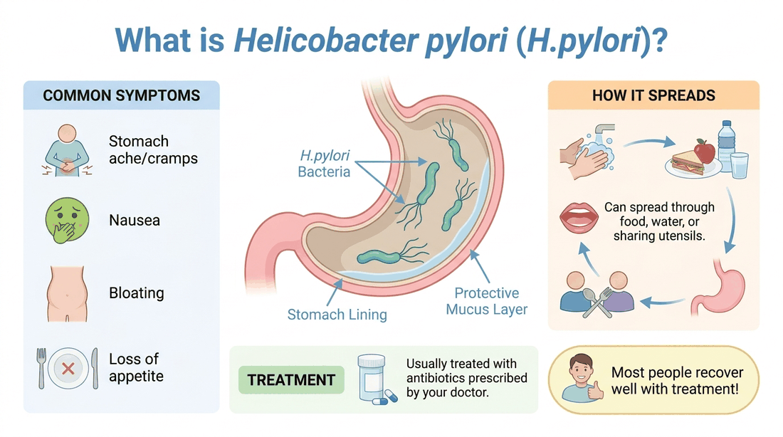 Helicobacter pylori: common symptoms, where the bacteria live in the stomach lining, how it spreads, and treatment